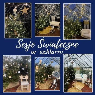 Projekt szklarnia 2027